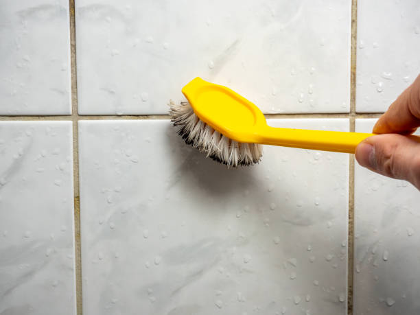 Reliable Berkeley, MO Mold Remediation Solutions