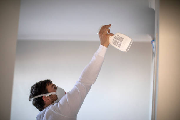 Best Post-Flood Mold Remediation in Berkeley, MO
