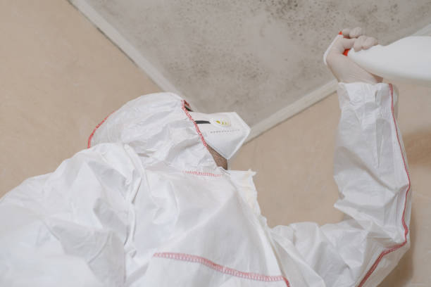 Best Post-Flood Mold Remediation in Berkeley, MO